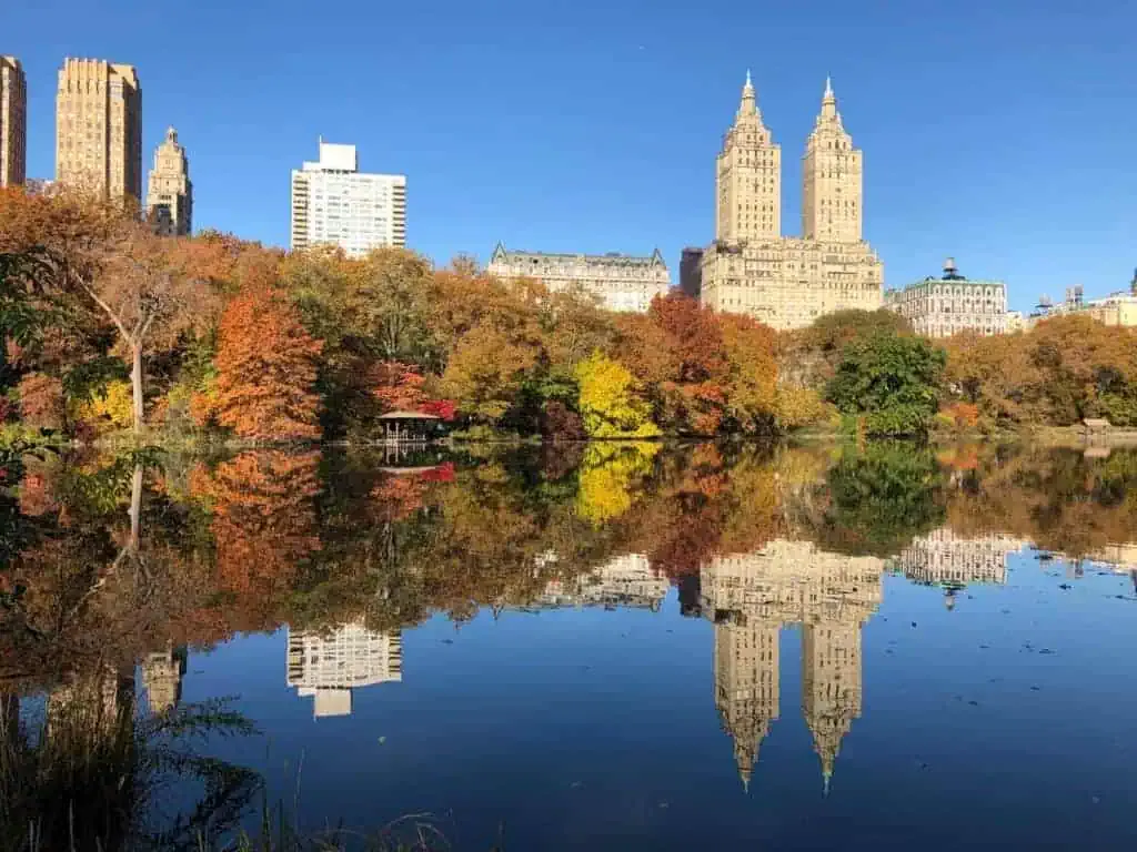 Central park in new york city is reflected in the water.
