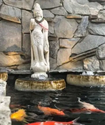A statue of a buddha in a pond with fish.